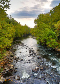 Scenic view of river amidst trees in forest against sky