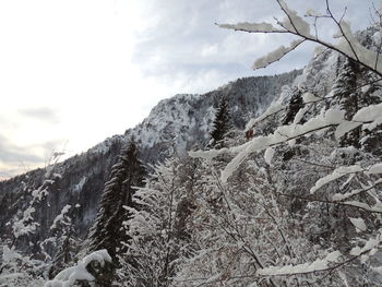 Scenic view of snow covered mountains against sky