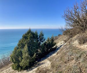 Scenic view of sea against clear blue sky