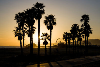 Silhouette palm trees by swimming pool against sky during sunset