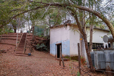 Abandoned house amidst trees and plants on field