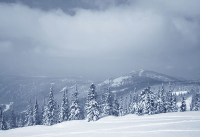 Scenic view of snowcapped mountains against sky