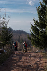 Rear view of people walking on road