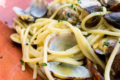 Close-up of noodles with clams served in plate