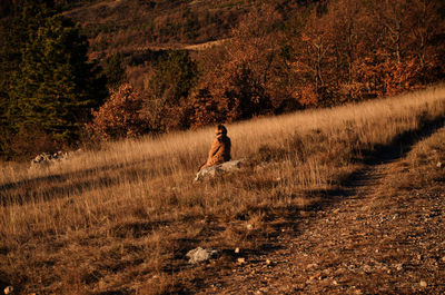 Rear view of man walking on field