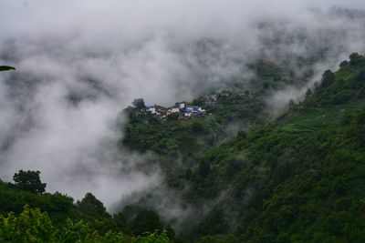 High angle view of trees on land against sky