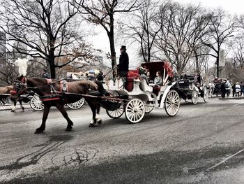 People on horse carriage