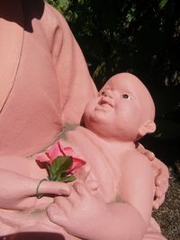 Close-up of pink rose