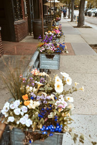 Flower pots on sidewalk in city