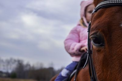 Close-up of horse with sitting girl on back