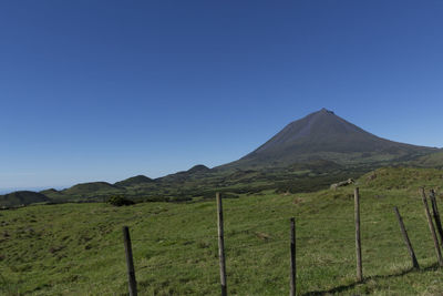 Scenic view of field against clear blue sky