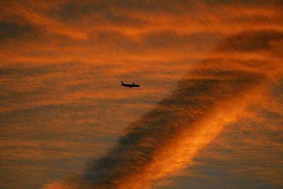 Airplane flying in sky during sunset