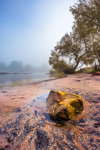 Scenic view of rocks by trees against sky