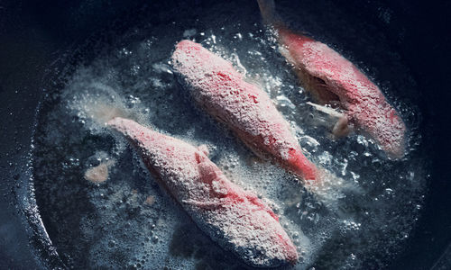 High angle view of meat on barbecue grill