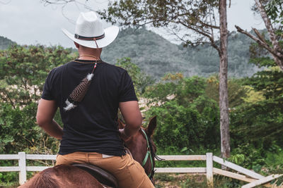 Rear view of man riding horse in forest