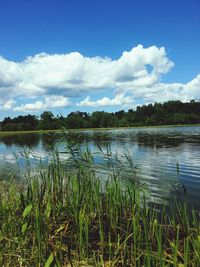 Reflection of clouds in calm lake