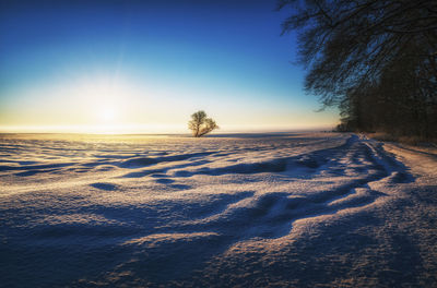 Scenic view of snow covered field against sky during sunset