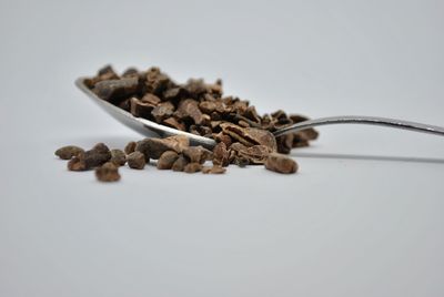 Close-up of bread on table against white background