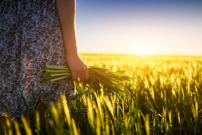 Midsection of woman standing amidst plants on field during sunset