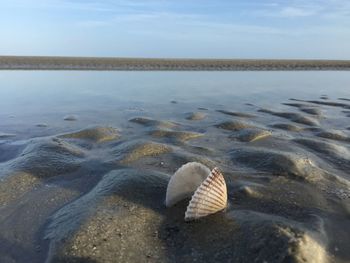 Scenic view of sea shore