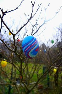 Low angle view of multi colored balloons