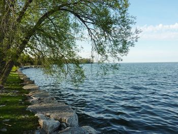 Scenic view of sea against sky