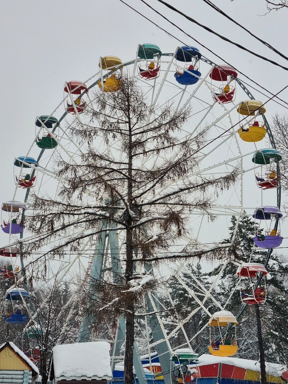 LOW ANGLE VIEW OF FERRIS WHEEL BY TREES AGAINST SKY