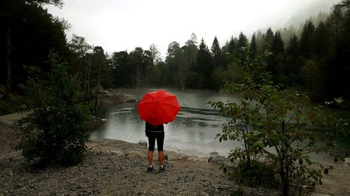 Rear view of woman walking in forest