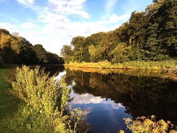 Reflection of trees in lake against sky