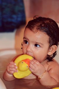 Close-up of cute baby girl playing with rubber duck while bathing in bathtub