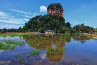 Beautiful landscape view of a hill with the reflection on the paddy field water 