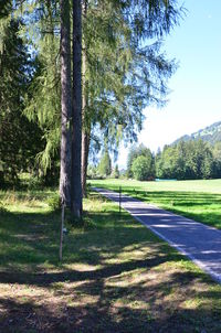 Road passing through grassy field