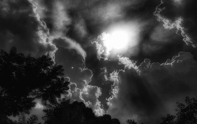 Low angle view of trees against sky