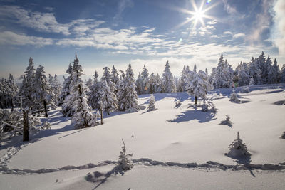 Panoramic view of snow covered landscape against sky