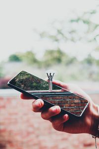 Close-up of hand holding small plant