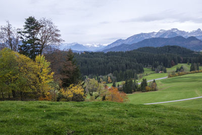 Scenic view of landscape against sky during autumn