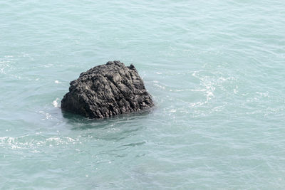 High angle view of rock in sea