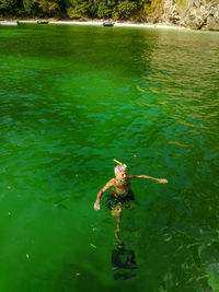 High angle view of man swimming in green water lake