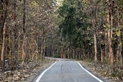 Empty road amidst trees in forest