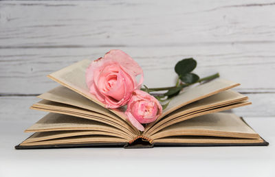 Close-up of pink rose on table