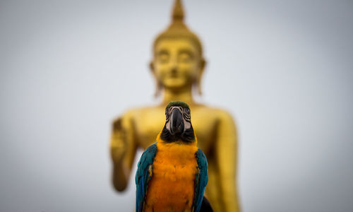 Close-up of a statue of bird against blurred background