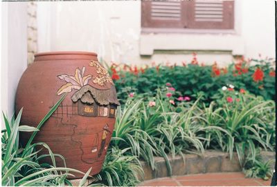 Close-up of potted plants