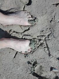 Low section of person legs in mud on land