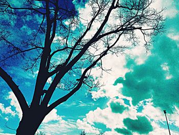 Low angle view of tree against sky