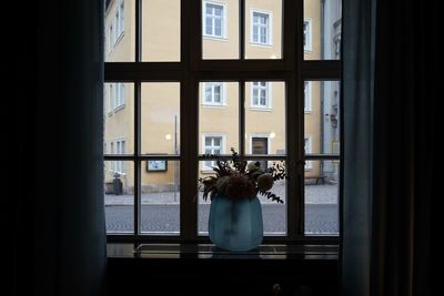 Rear view of woman looking through window