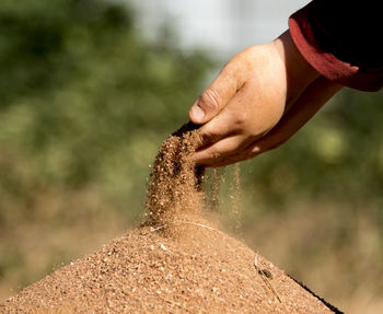 Cropped image of hand holding sand outdoors