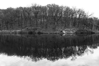 Reflection of bare trees in lake against sky