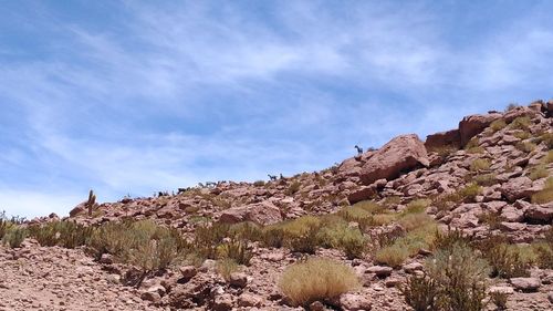 Rock formations on landscape against sky