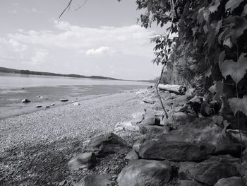 Scenic view of beach against sky