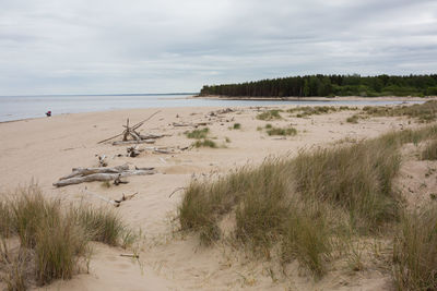 Scenic view of beach against sky